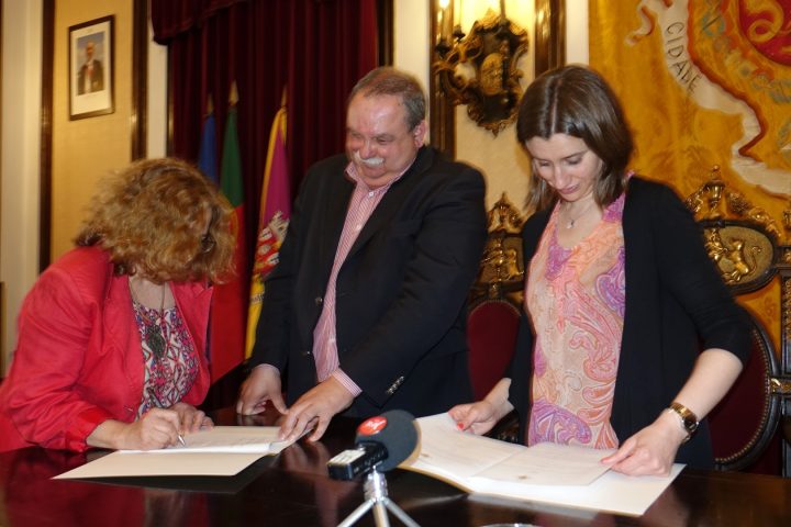 Protocolos 162 Large